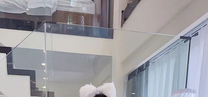 爱上海爱北京网址安全指南：双城交友平台使用技巧
